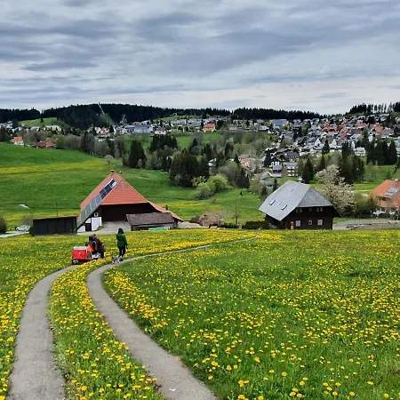 Ferienhaus-schoenwald Im Herzen Des Schwarzwaldes 1zimmer-wohnung+terrasse App1