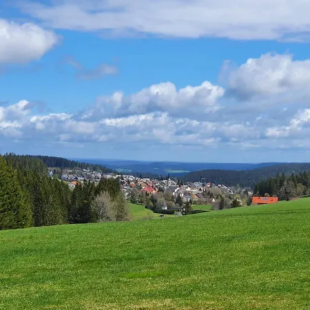 Ferienhaus-schoenwald Im Herzen Des Schwarzwaldes 1zimmer-wohnung+terrasse App1