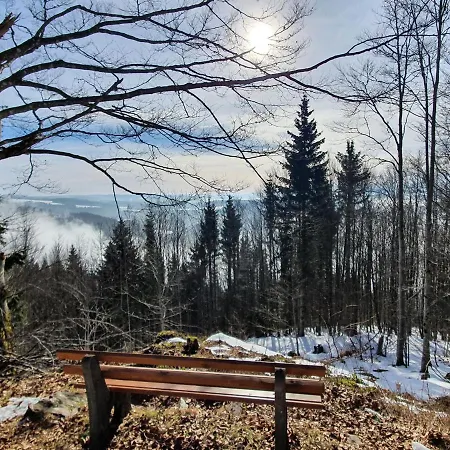 Ferienhaus-schoenwald Im Herzen Des Schwarzwaldes 1zimmer-wohnung+terrasse App1 Daire