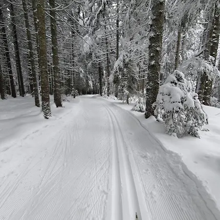 Daire Ferienhaus-schoenwald Im Herzen Des Schwarzwaldes 1zimmer-wohnung+terrasse App1 Schönwalde
