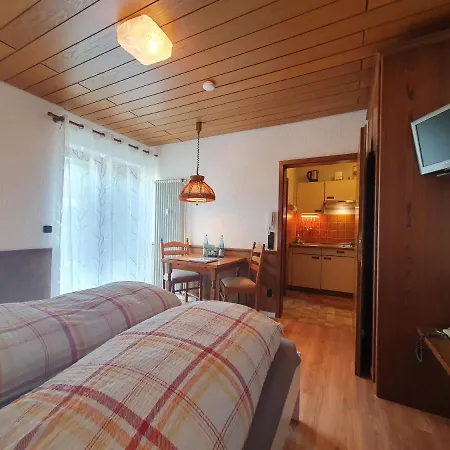 Apartment Ferienhaus-schoenwald Im Herzen Des Schwarzwaldes 1zimmer-wohnung+terrasse App1 *